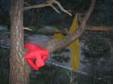 Probe 26.04.2012