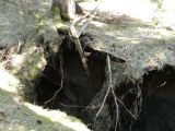 Schachteinbruch 03.04.2012_1
