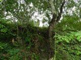 Wasserrettung 26.08.2012_29