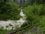 Hochwasser 02.06.2013_5