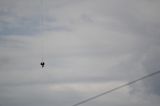 Waldbrand Probe Heli 10.05.2014_13