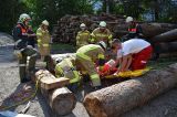 Gemeinschaftsübung Haiming 30.05.2015_29