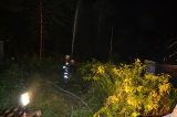 Probe Klammweg 10.09.2015_25