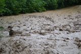 Überflutung 11.07.2016_11