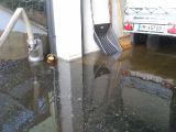 Wasserschaden Lente 01.02.2016_5
